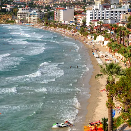 Marti Prime Kusadası